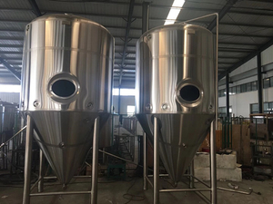 40bbl Stainles Steel Fermenter for Craft Brewery